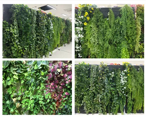 نحوه نصب گیاهان فاکس دیواری برای یک محلول فضای سبز بدون دریل