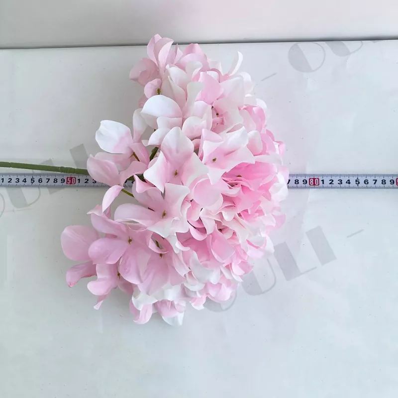 گلهای بزرگ هیدرانگا