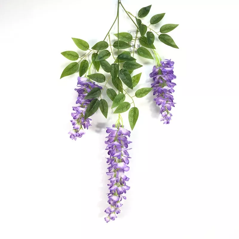 شاخه های جعلی ویستریا