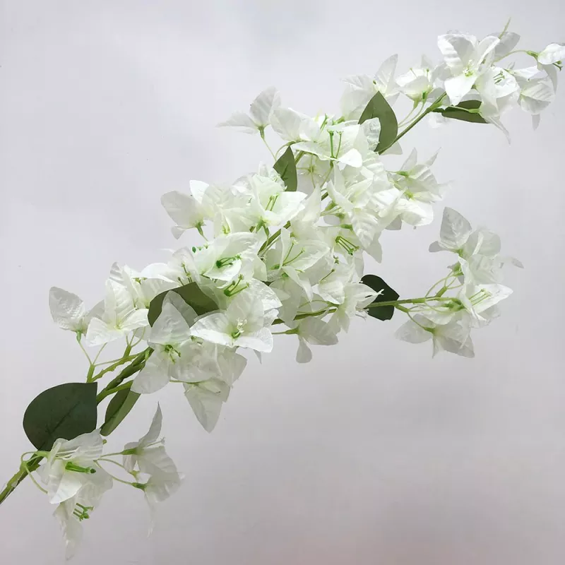 گلهای Faux Bougainvillea