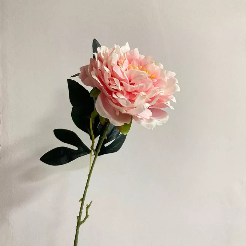 صدف جعلی ساقه بلند