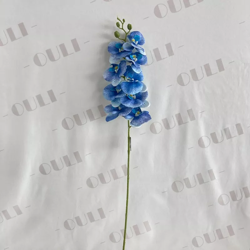 ارکیده فاکس چند رنگ