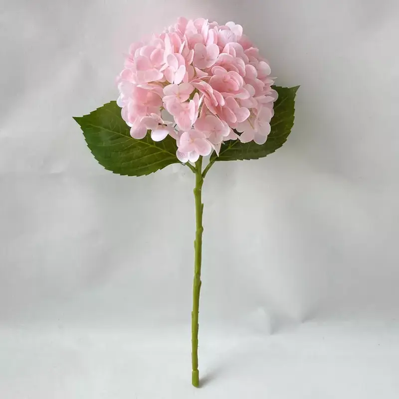 هیدرانگای مصنوعی لمس واقعی