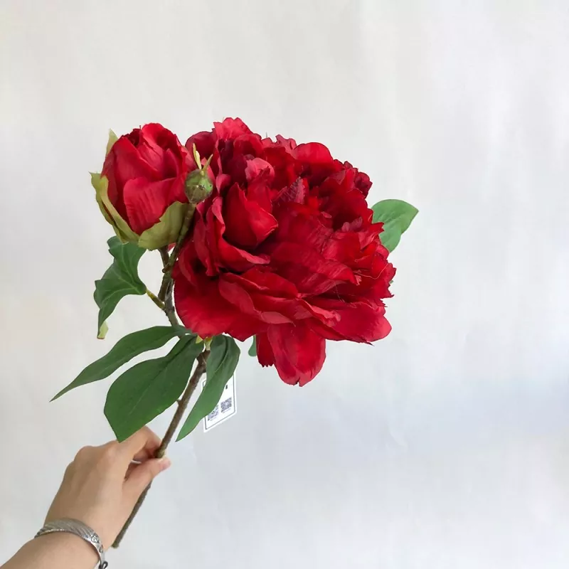 گل های گل صد توفی ابریشمی