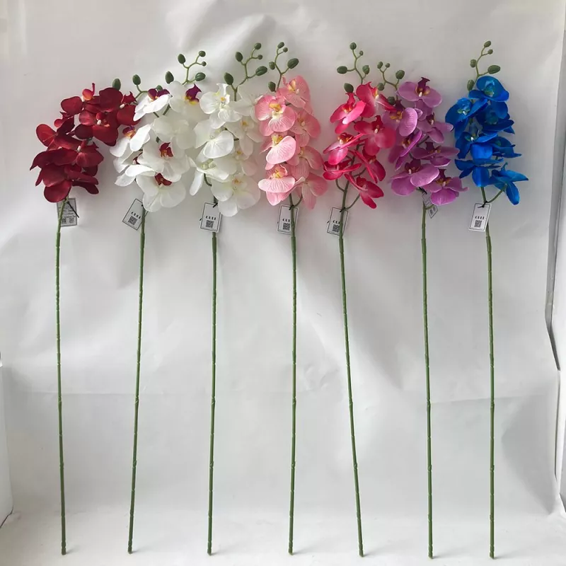 گل ابریشمی ارکیده phalaenopsis